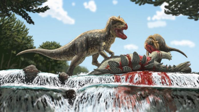 Glossy Carnivorous Dinosaur Species Unearthed in Kyrgyzstan