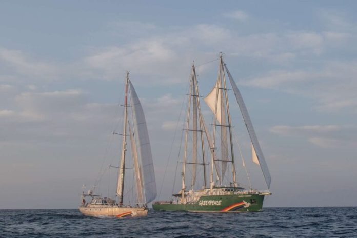 Hexagon Purus lands €2.5M hydrogen gas design yelp for fresh Greenpeace ship