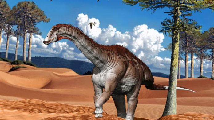 Paleontologists Unveil Original Species of Sauropod Dinosaur