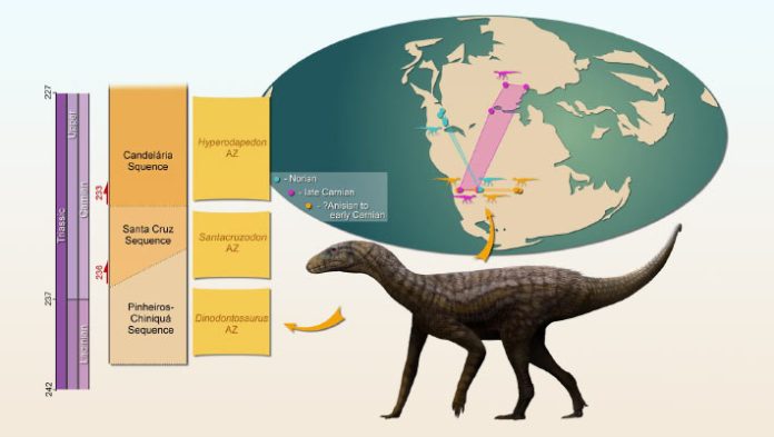 Fresh Species of Dinosaur Relative Stumbled on in Brazil