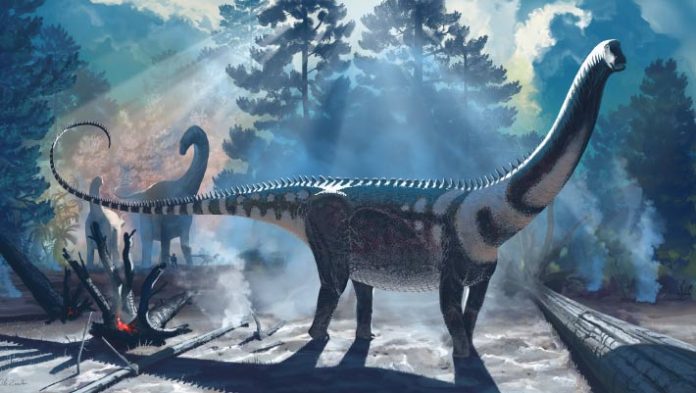 New Sauropod Dinosaur Stumbled on in Wyoming: Ardetosaurus viator