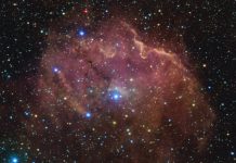 VST Sees Newborn Stars in Gum 39