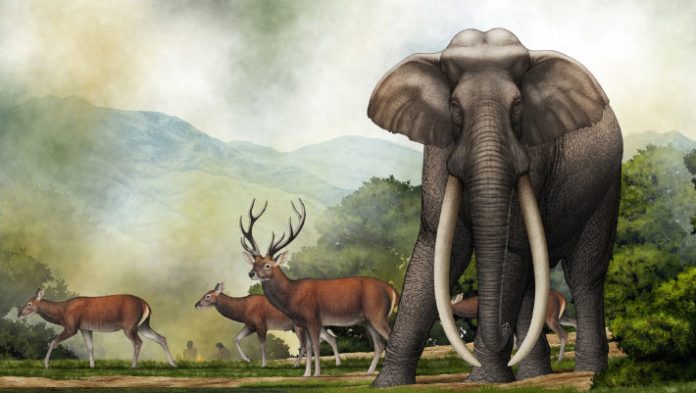 Scientists Win Proof for Hominin Exploitation of Extinct Straight-Tusked Elephants in India