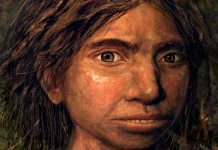 Several Denisovan Populations Introgressed into Up to the moment People More than one Times: Sight