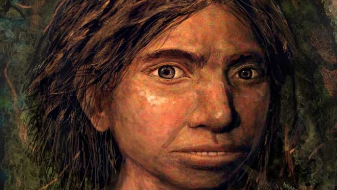 Several Denisovan Populations Introgressed into Up to the moment People More than one Times: Sight