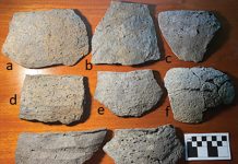 Earliest-Identified Maya Salt Works Discovered in Belize